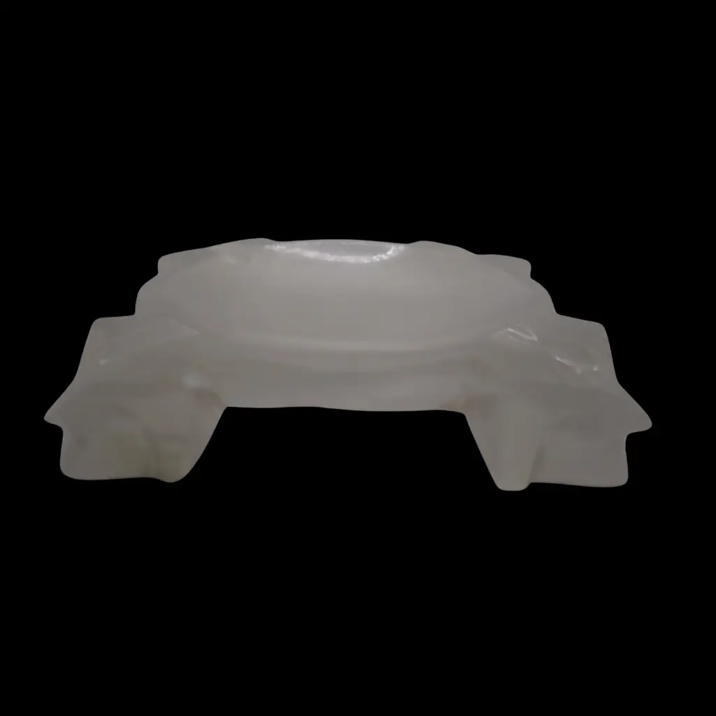 14.webp